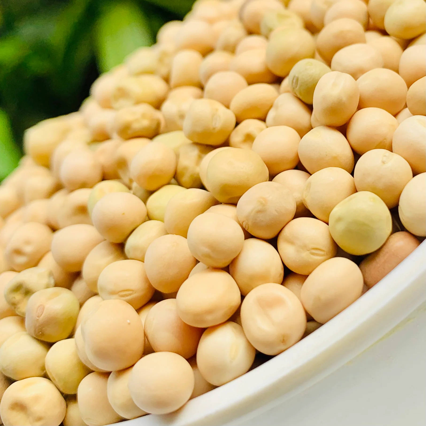 RAW WHITE PEAS-BATANI-SAFED MATAR